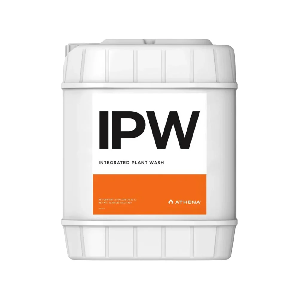 ⁦IPW⁩ – תמונה ⁦3⁩