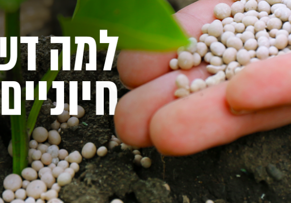 דברים שחשוב לדעת על דשן