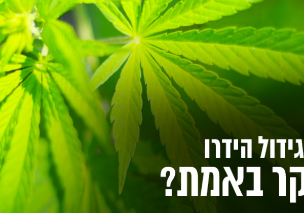 צריכת חשמל בגידול הידרו – האם זה יקר באמת?