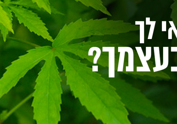 האם כדאי לך לגדל בעצמך?